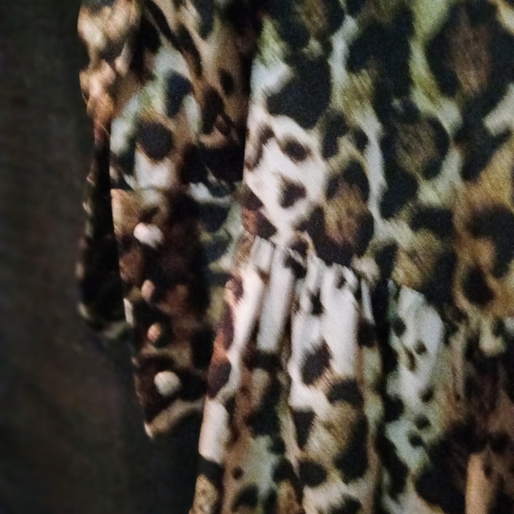 Alexis Leopard Print Dress - Picture 10 of 12